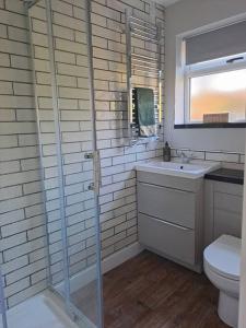 a bathroom with a shower and a sink and a toilet at Cosy cottage near Alton Towers in Rocester