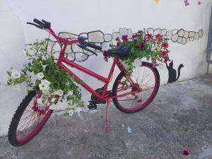 Jízda na kole v ubytování Villino Tronchetto Bianco nebo okolí