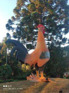 a statue of a chicken sitting on the ground at Hotel e Camping Espaço Verde Pousada in Cantagalo