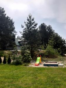 un parque infantil con un tobogán verde en un patio en Дом в лесу на берегу Днепра для отдыха, аппартоменты, en Budishche