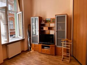 a living room with a tv and a book shelf at Apartaments near Ploshcha Rynok in Lviv