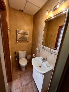 a small bathroom with a sink and a toilet at Apartaments near Ploshcha Rynok in Lviv
