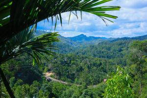 a view of a road in the jungle at Casa Ninearch Villa in Ella