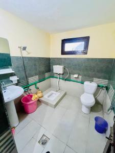 スカルドゥにあるHotel Golden Eyes & Restaurantのトイレと洗面台付きのバスルーム +34枚の写真