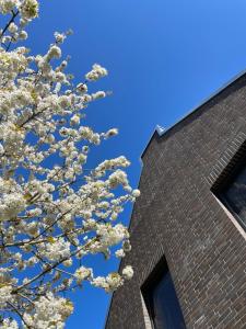 Backsteinquartier Rügen في بوتبوس: شجرة مزهرة أمام مبنى من الطوب