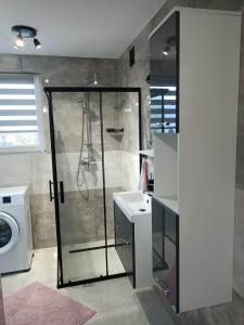 ein Bad mit einer Dusche und einem Waschbecken in der Unterkunft Apartament u Irenki in Harklowa
