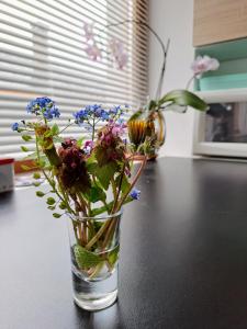 Foto sihtkohas Szilvásvárad asuva majutusasutuse No°21 Apartman galeriist