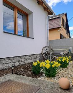Hoone, kus apartement asub