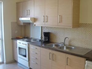 Kuhinja oz. manjša kuhinja v nastanitvi Neapolis Apartments