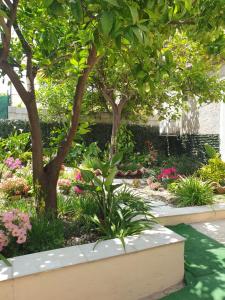 un jardín con un árbol y algunas flores en Casa vacanze con giardino e area barbecue, en Martis