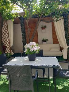 una mesa con una maceta con un sofá en Casa vacanze con giardino e area barbecue en Martis