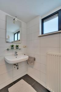 a bathroom with a sink and a mirror at Vijverzicht in Lanaken