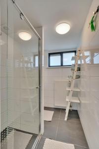 a bathroom with a glass shower and a ladder at Vijverzicht in Lanaken