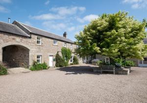 a house with a large tree in front of it at Old Mill Branton in Glanton