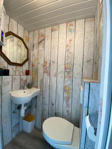 a bathroom with a toilet and a sink at Die Pilgerbox, Tiny House trifft Urlaub in Dahlem