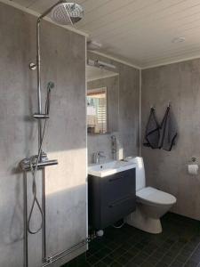 a bathroom with a shower and a toilet and a sink at Talo Pyhä-Häkin kansallispuiston kupeessa in Saarijärvi