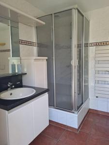uma casa de banho com uma cabina de duche em vidro e um lavatório. em Garden studio em Rijsbergen