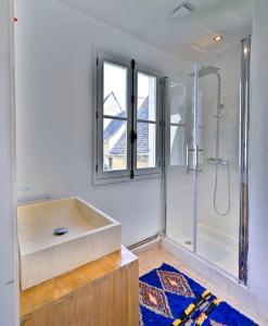 La salle de bains est pourvue d'un lavabo et d'une douche. dans l'établissement Logis Cointereau, à Baugé