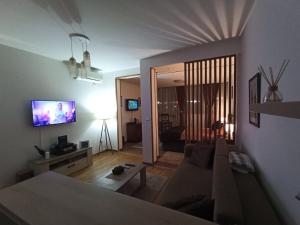 - un salon avec un canapé et une télévision dans l'établissement Delta Apartman, à Podgorica