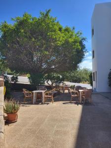 un patio con mesas, sillas y un árbol en Apartamentos Mar Bella, en Es Canar