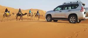 托澤爾的住宿－Dar El Sultan Tozeur，一群人在沙漠骑骆驼