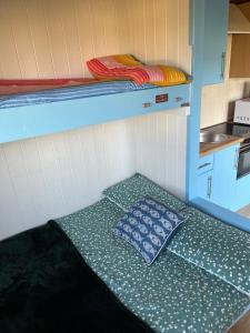 a small room with a bunk bed with a pillow at Coral Shepherds Hut in Penally