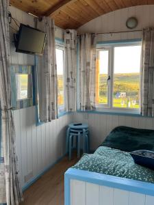 a bedroom with a bed and a tv and windows at Coral Shepherds Hut in Penally