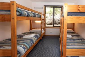 two bunk beds in a room with a window at BIG4 Iluka on Freycinet in Coles Bay