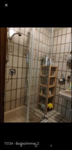 Sonnige EG_Wohnung mit Garten Terr في فورشهايم: دش مع باب زجاجي في الحمام