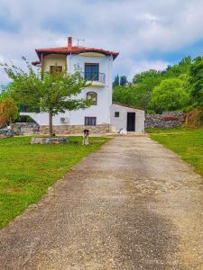 a dog is standing in front of a house at Villa Etheras - Nested between Nature by Amazing View - 5 mins from Edessa in Edessa