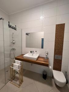 a bathroom with a sink and a shower and a toilet at Absolutum Apartments in Ljubljana