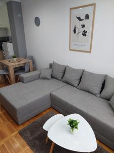 uma sala de estar com um sofá cinzento e uma mesa em Smiley - Subotica Centar em Subotica