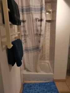een badkamer met een douche en een douchegordijn bij Le P'tit gîte in Saint-Privat