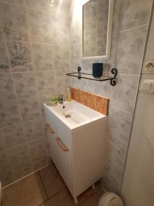 a bathroom with a white sink and a mirror at Le P'tit gîte in Saint-Privat