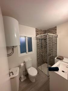 マラガにあるLa casa de la Abuelaのバスルーム(トイレ、ガラス張りのシャワー付)