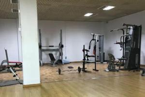 Fitness centrum a/nebo fitness zařízení v ubytování Exclusive Villa Resort