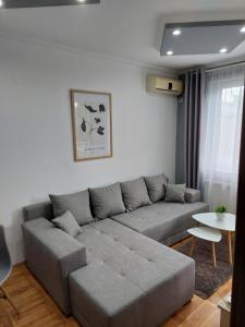 uma sala de estar com um sofá cinzento e uma mesa em Smiley - Subotica Centar em Subotica