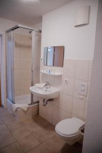 uma casa de banho com um WC, um lavatório e um chuveiro em Apartmenthotel-Harz em Friedrichsbrunn