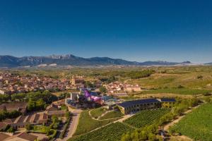 an aerial view of a small town in a vineyard at Hotel Marqués de Riscal, a Luxury Collection Hotel, Elciego in Elciego