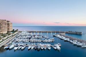 a group of boats docked in a marina at Riviera Marriott Hotel La Porte De Monaco in Cap d'Ail