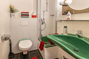 a bathroom with a green sink and a toilet at Terrassenpark Schonach App 161 in Schonach