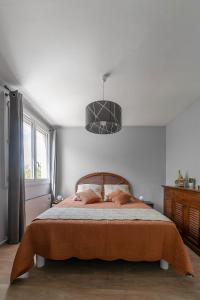 een slaapkamer met een bed en een hanglamp bij Le Raymond - Appartement proche du centre sportif, des rives de l'Allier et du centre-ville - parking in Vichy