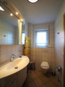 a bathroom with a sink and a toilet and a mirror at Hoppenberg in Zingst