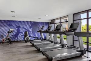 een fitnessruimte met een rij loopbanden bij Delta Hotels by Marriott Somerset in Somerset