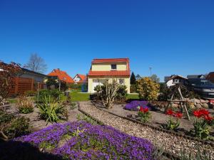 a garden with purple flowers in front of a house at Schüler, Wolfgang in Zingst