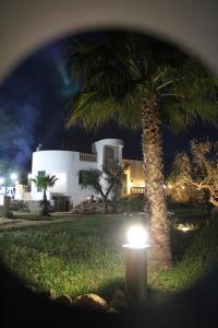 una palma e una luce di fronte a una casa di B&B Villa Gallipoli a Gallipoli