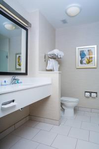 a bathroom with a sink and a toilet at Fairfield Inn & Suites by Marriott Lincoln Southeast in Lincoln