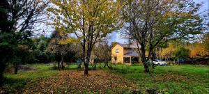 a house in the middle of a yard with trees at Casa Selva in Valdivia
