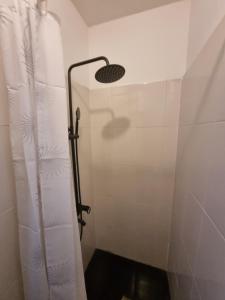 eine Dusche mit Duschvorhang im Bad in der Unterkunft Cozy Apartment in Sofia Center in Sofia + 8 Fotos