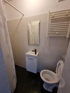 ein Badezimmer mit einer weißen Toilette und einem Spiegel in der Unterkunft Cozy Apartment in Sofia Center in Sofia